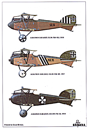 Windsock - Datafile 19 - Albatros D III (OEF)