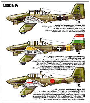 Ju-87 from 1936 to 1945 Historie and Collections, Planes and Pilots  4