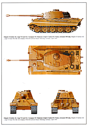 Wydawnictwo Militaria 91 - Tiger, vol.2