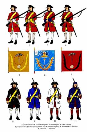 The Great Northern War 1700-1721. Colours and uniforms