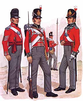 Osprey Men-at-Arms 114 - Wellington's Infantry (1)
