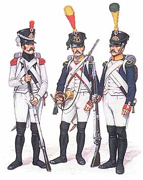 Osprey Men-at-Arms 141 - Napoleon's Line Infantry
