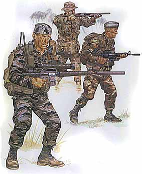 Osprey Men-at-Arms 143 - Armies of the Vietnam War (2)