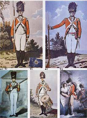 British Infantry of the Napoleonic Wars (Philip J. Haythornthwaite)