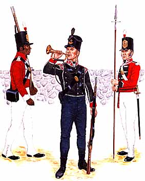 Osprey Men-at-Arms 294 - British Forces in the West Indies 1793–1815