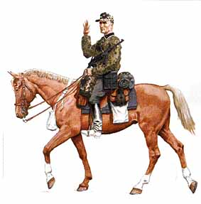 Osprey Men-at-Arms 361 - Axis Cavalry in World War II