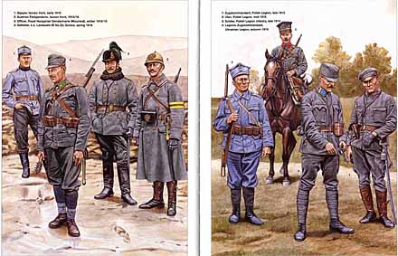 Osprey Men-at-Arms 392 - The Austro-Hungarian Forces in World War I (1)