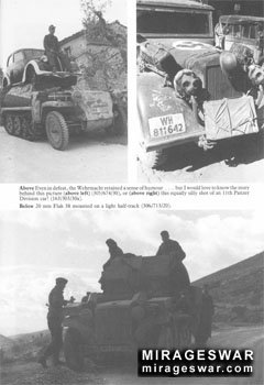 Panzers In The Balkans And Italy [WW2 Photo Album 19]