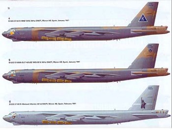 Combat Aircraft Series 50 - B-52 Stratofortress Units in Operation Desert Storm