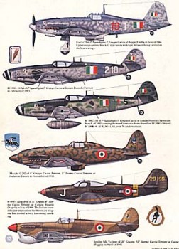 Squadron Signal 6044 - Regia Aeronautica Vol.2 1943-45