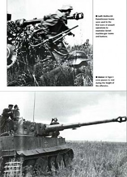 Steel Storm - Waffen-SS Panzer Battles on the Eastern Front 1943-1945 (:   / Tim Ripley)