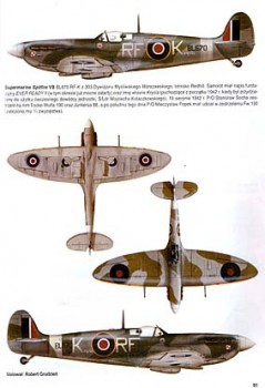 AJ-Press Kampanie lotnicze 21 - Dieppe 1942