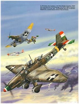 Squadron Signal 6069 - Hungarian Air Force (George Punka)