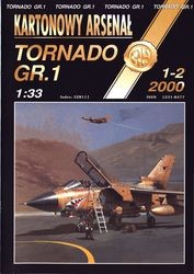 Tornado GR.1 - Halinski Kartonowy Arsenal (1-2`2000)