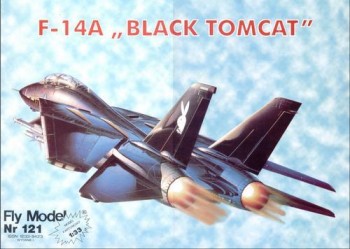 Fly Model  121 -  F-14A Black Tomcat