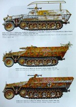 Wydawnictwo Militaria №12 - Sdkfz 251