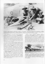 Wydawnictwo Militaria   117 - Malowanie i oznakowanie RAF SEAC 1941-1945