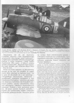 Wydawnictwo Militaria   117 - Malowanie i oznakowanie RAF SEAC 1941-1945