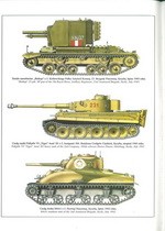 Wydawnictwo Militaria 165 - Sycylia 1943