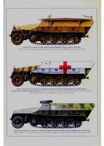Wydawnictwo Militaria 224 - Sd.Kfz.251 vol. II