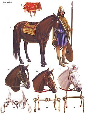 Новый Cолдат 226 - Тарентская конница древней Греции 430-190 гг. до н.э.