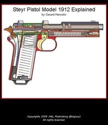 Steyr Pistol Model 1912 Explained