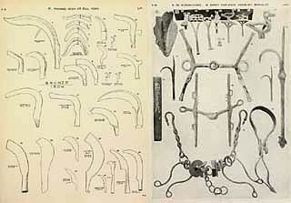 Tools and weapons illustrated by the Egyptian