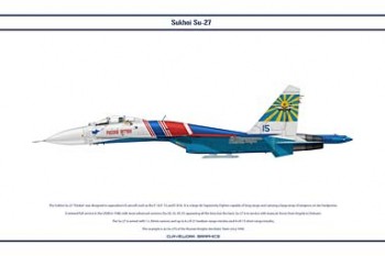 Самолет СУ-27 на службе у различных государств