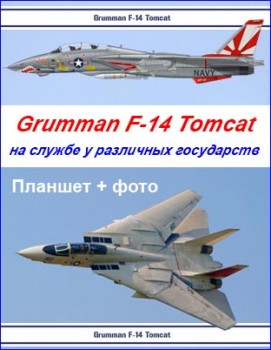 Grumman F-14 Tomcat     