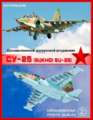    - -25 (Sukhoi Su-25) (2 )