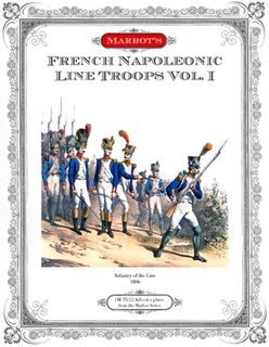 Marbot's French Napoleonic Line Troops Vol. I