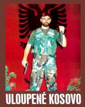 Отнятое Косово / Украденное Косово / Uloupene Kosovo (2008) IPTVRip