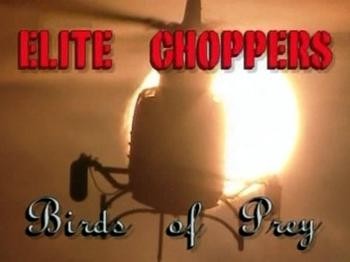  .   / Elite choppers. Birds of prey