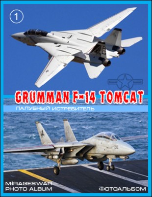 Палубный истребитель - Grumman F-14 Tomcat (1 часть)