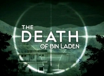 Уничтожить бен Ладена / The Death of Bin Laden (2011) SATRip