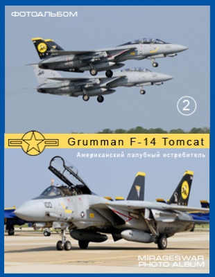    - Grumman F-14 Tomcat (2 )