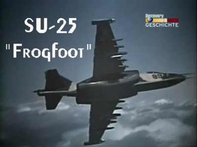 Flugel aus Stahl -25 / SU 25 - Frogfoot