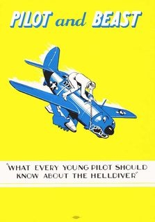 Pilot and beast: What every young pilot should know about the Helldiver
