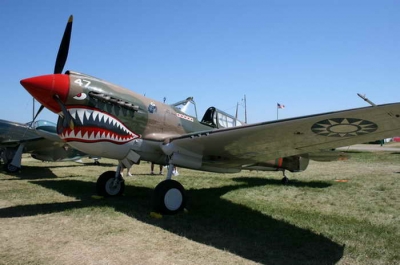 P-40 Warhawk Flying Tigers Walk Around