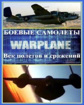  .     (4   4-) / Warplanes. The Century of Flight and Fight