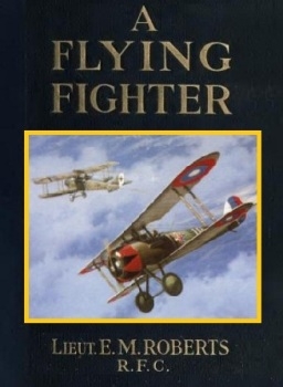 A flying fighter