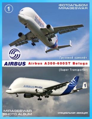   - Airbus A300-600ST Beluga (Super Transporter) 1 