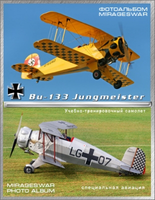 -  - Bu-133 Jungmeister