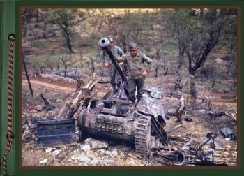 Photos from the Archives. Battle Damaged and Destroyed AFV. Part 15