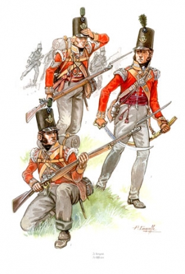 La Belle Alliance (2) Lavance generale alliee. Waterloo 1815. Les Carnets de la Campagne  8