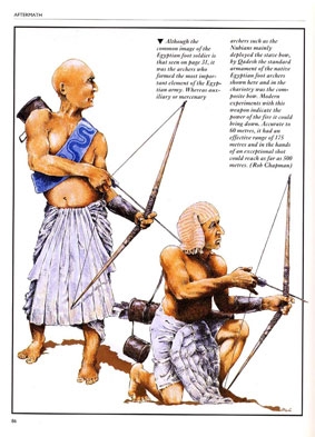 Osprey History - The Warrior Pharaoh. Rameses II And The Battle Of Qadesh
