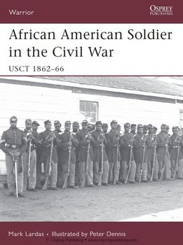 African American Soldier In The Civil War (Osprey Warrior 114)
