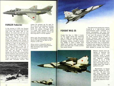 Modern Combat Aircraft and Insignia