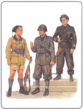 Итальянская армия 1943-1945 (серия СОЛДАТЪ)
