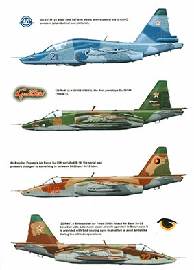 Sukhoi Su-25 Frogfoot: The Soviet Union's Tank-Buster (Aerofax)